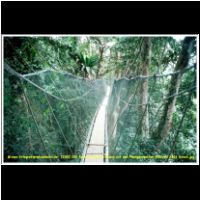 12322 020 Poring Canopa Walkway auf den Haengebruecken Malaysia 2006 Sabah.jpg
